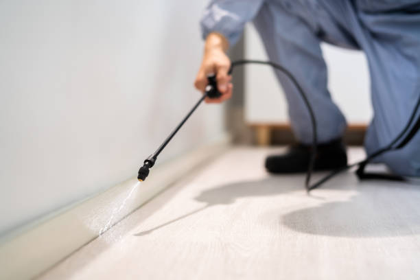 Licensed Cockroach Control service in Hamlin, TX - Nex Pest Control