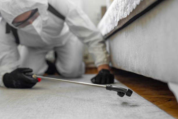 Professional Cockroach Control technician working in Hamlin, TX
