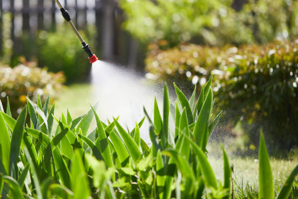 24/7 Emergency Cockroach Control experts in Hamlin, TX